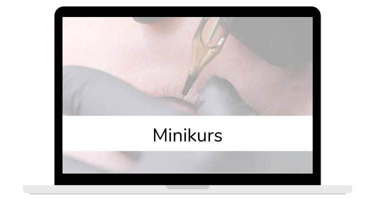 Minikurs